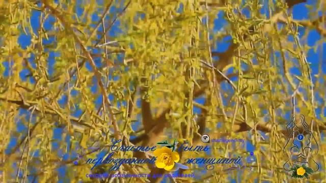 Деревья о земле смотреть онлайн