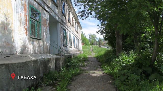 Ямы с бородой. Они появились на улицах Губахи и остались надолго смотреть онлайн