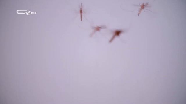 3 вопроса от 27 июня 2019