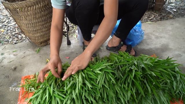 Buying Floor Tiles For Wooden House, Harvesting Water Spinach Bringing The Market Sell | Free Life.