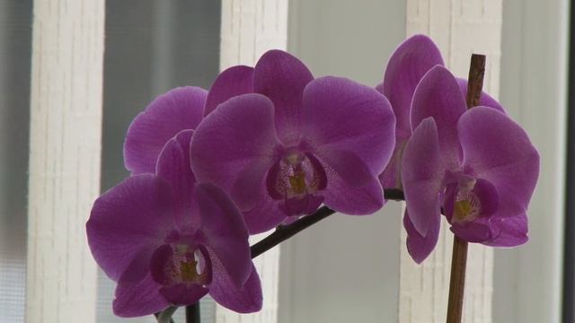 Юридические консультации прямо на рабочих местах провела федерация профсоюзов Беларуси смотреть онлайн