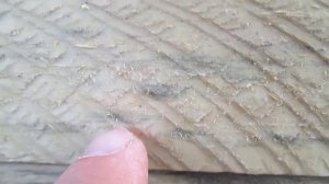 Синева на древесине пиломатериалов. Как ее удалить и как с ней бороться