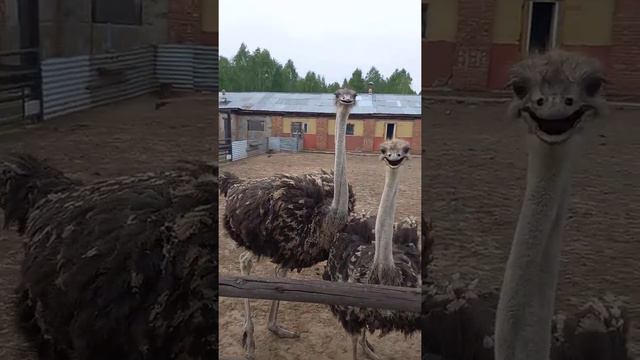 15 января 2022 г. смотреть онлайн