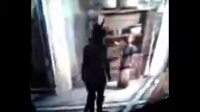 Funny Skyrim Fox Glitch