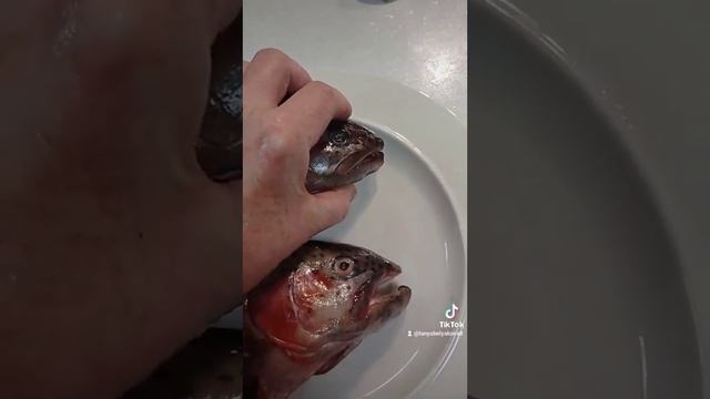 как купить форель с икрой. по секрету всему свету смотреть онлайн