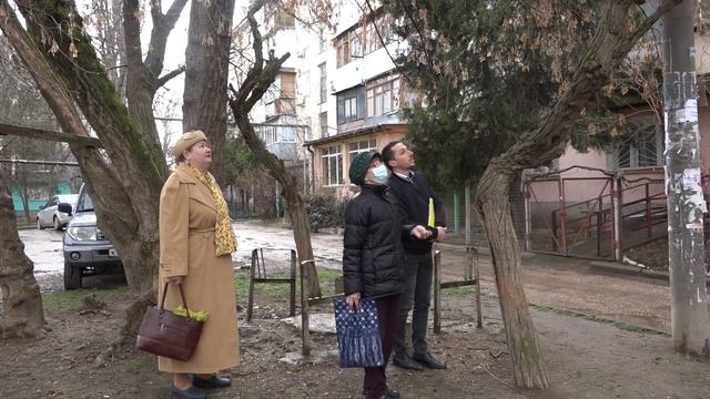 Обследование зеленых насаждений смотреть онлайн