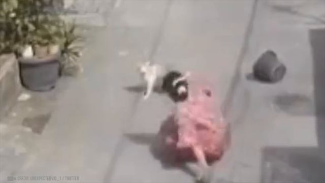 МГНОВЕННАЯ КАРМА, Снятая На Камеру!(3) смотреть онлайн