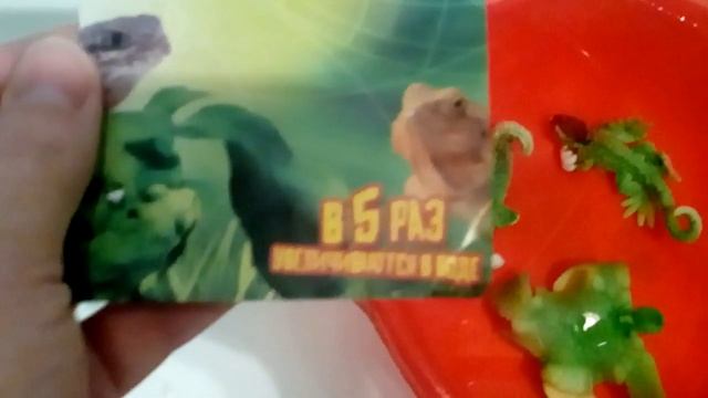 Якобы растущие животные в воде, купленные в магазине МАГНИТ смотреть онлайн