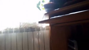 Что делать если наушники с микрофоном не работают даже на задней панели!! (Рабочий способ! )