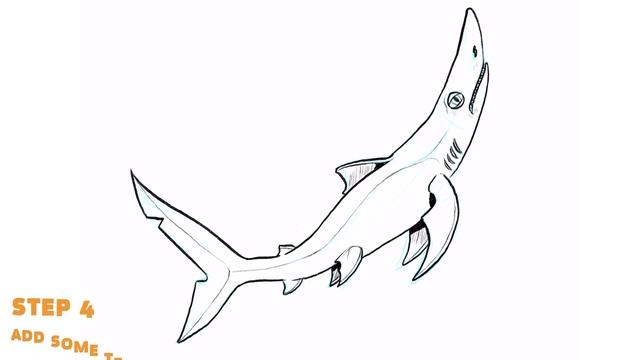 Hungry Shark | How to draw Blue Shark смотреть онлайн