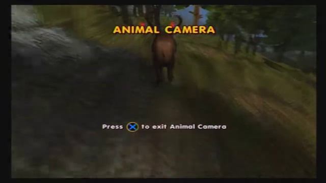 Cabela's Big Game Hunter 2005 Adventures: Forest - Woodland Caribou Hunt смотреть онлайн