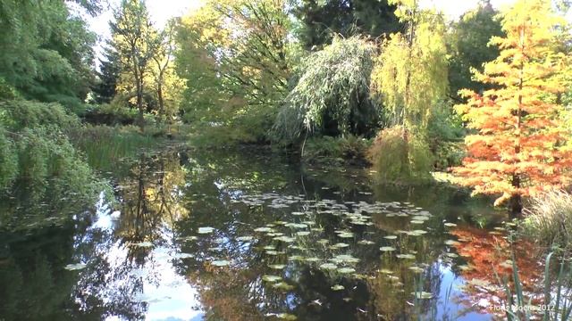 New Panasonic HC X800 Test Video!