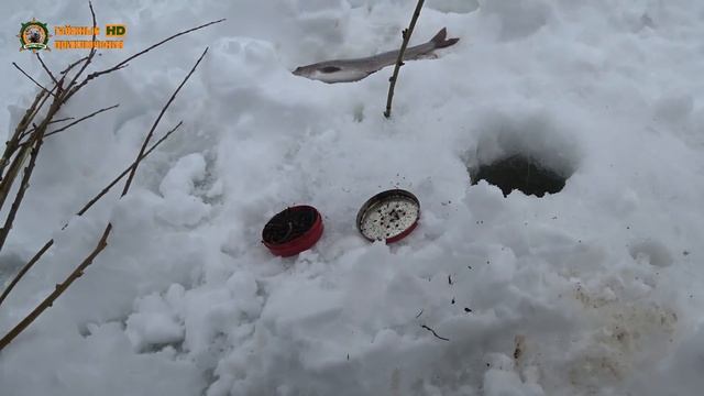 Три дня один в тайге/День рыбалки/Наловил крупняка!/Часть 2 смотреть онлайн