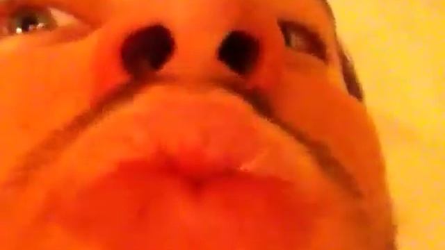 BG Тютчев смотреть онлайн