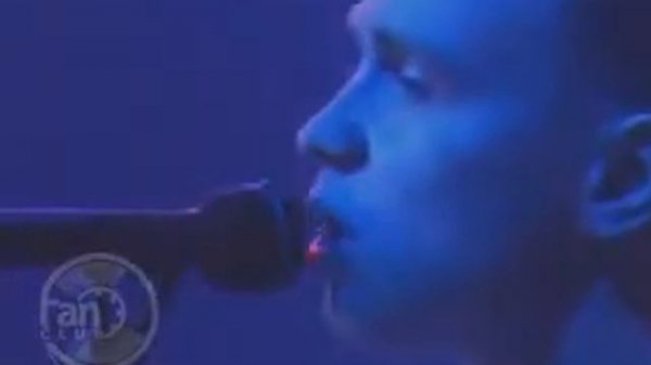 Дельфин - Надежда