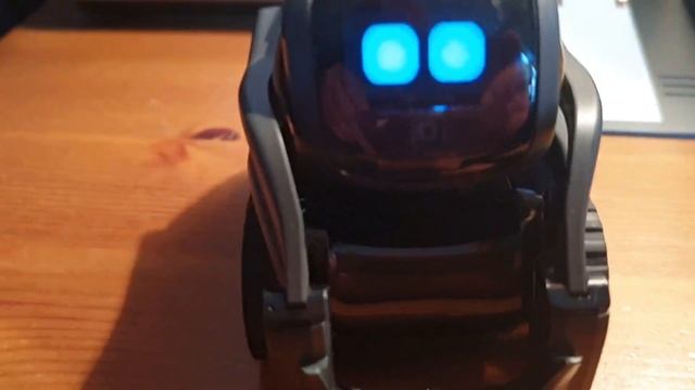 Vector By Anki Robot Quick Review