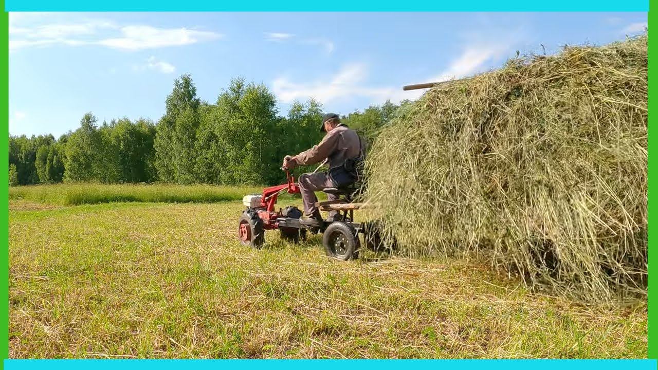 Сенокос открыт, мотаюсь по полям...! Сенокос мотоблоком Нева и мтз Беларус смотреть онлайн