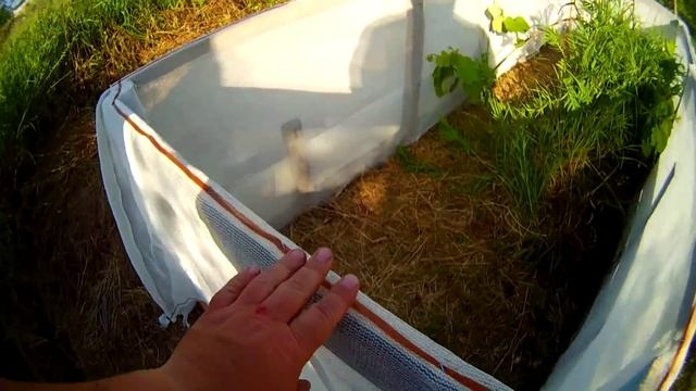 КАК Я РАЗВОЖУ ВИНОГРАДНЫХ УЛИТОК НА ДАЧЕ . AS I BREED GRAPE SNAILS AT DACHA. смотреть онлайн
