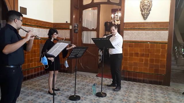 Wilhelm Friederich Ernst Bach. Trio G Dur - Allegro