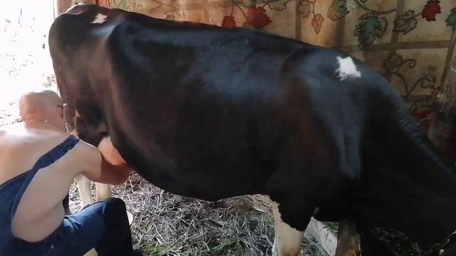 Готовим твёрдый СЫР ?ИЗ ТВОРОГА ? смотреть онлайн