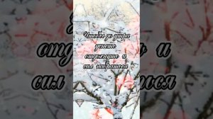 Сладкой ночи!