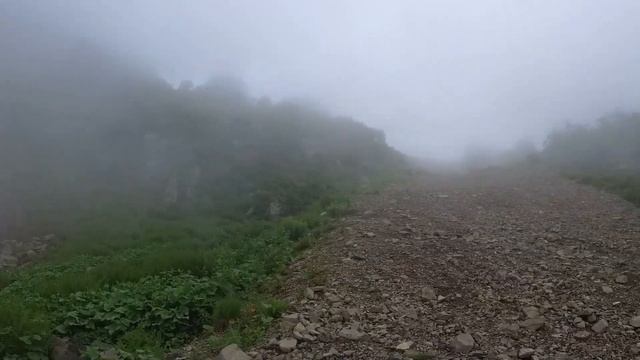 Подъём на Роза Пик 2022. Новый маршрут. Озёра, цветы, медвежьи какашки.