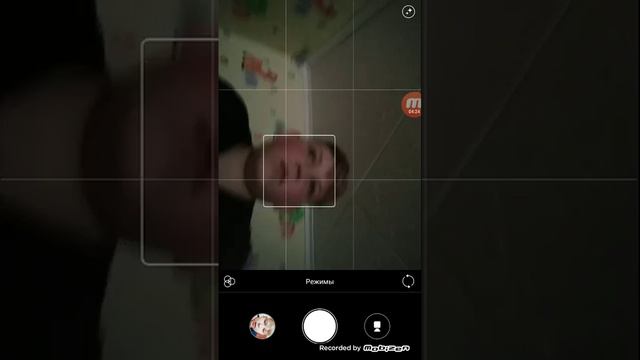 Мы поймали крысу смотреть онлайн