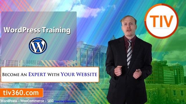 The Inventor's Velocity - Custom WordPress Training for your Organization смотреть онлайн