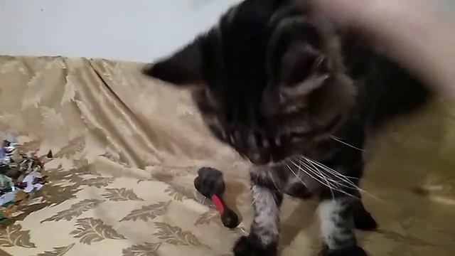 Барон Черный-мрамор Мейнкун смотреть онлайн