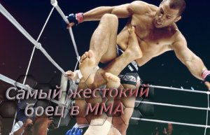 Вандерлей Сильва - лучшие бои в Прайде (Pride)