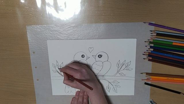 Як швидко намалювати пташок на гілці -- how to quickly draw birds on a branch смотреть онлайн