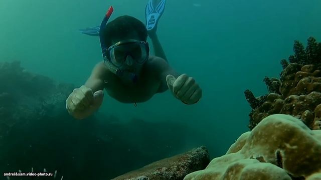 Seychelles. Snorkeling on Mahe Island. смотреть онлайн