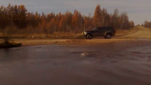 сафарь смотреть онлайн