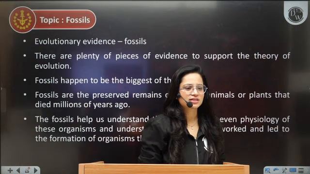 Biology CDS 2024: Human Health & Diseases, Genetics, Ecology & Miscellaneous | CDS Biology 2024 смотреть онлайн