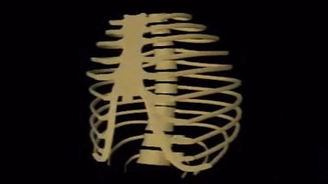 Рёбра должные свободно двигаться . смотреть онлайн