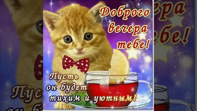 Slideshow__294_20230320_1CXxMU.mp4