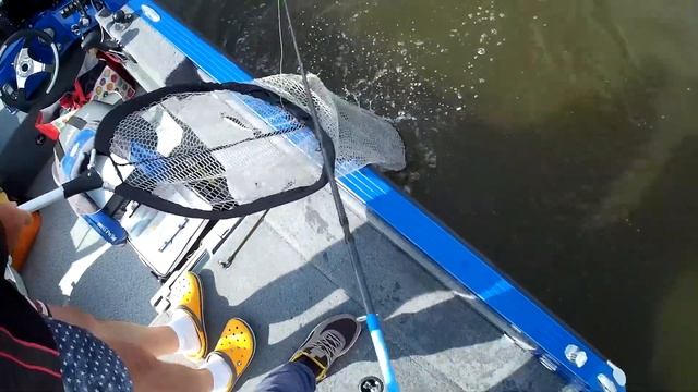 Летний джиг спиннинг на Каме.