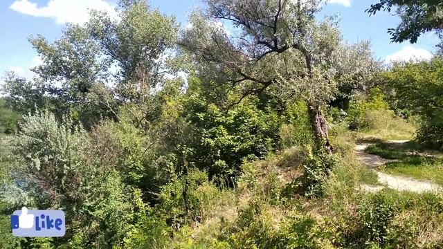 Амиран Анекдот Выпуск№1 Анекдоты от Амирана смотреть онлайн