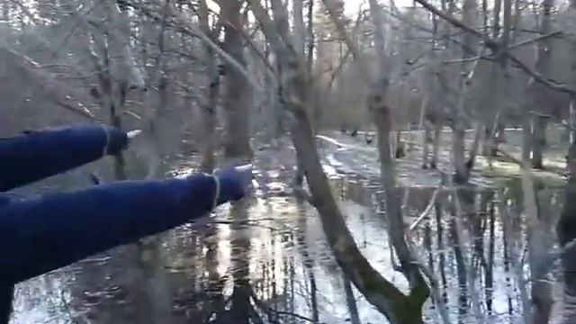 Похождения боровичка Серенького серия 3 смотреть онлайн