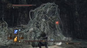 Алдия, Ученый Первородного Греха Dark Souls 2 Дарк Соулс 2 - тактика как победить босса. Автор VeLiD