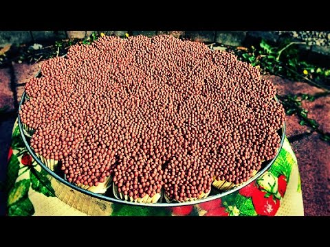 Что Будет, Если Поджечь 10 000 Спичек смотреть онлайн