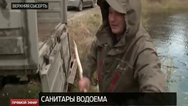 Очистку Верхнесысертского пруда доверят белому амуру смотреть онлайн
