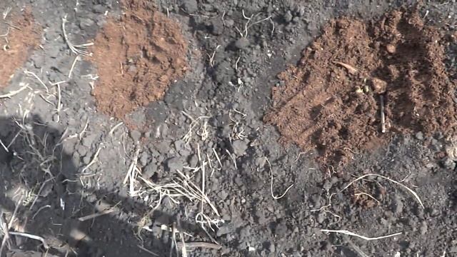 РЕЗУЛЬТАТ УВЛЕКАТЕЛЬНОЙ ПОСАДКИ клубники | Как правильно сажать клубнику смотреть онлайн