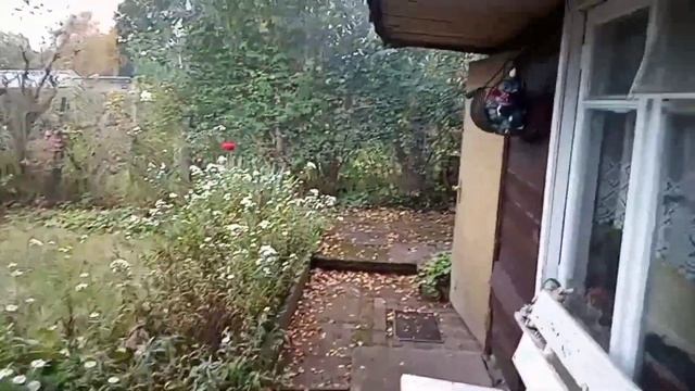 #12 Купил дачу в Германии / Ещё один участок / Ich habe ein Kleingarten gekauft/ Рум Тур / #дача . смотреть онлайн