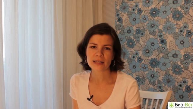 Как Научить Попугая Говорить & ТОП-7 Факторов Обучения Попугая Говорить. Ветклиника Био-Вет смотреть онлайн