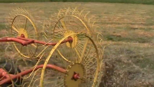 grablivoroshilkigbb4.MPG смотреть онлайн