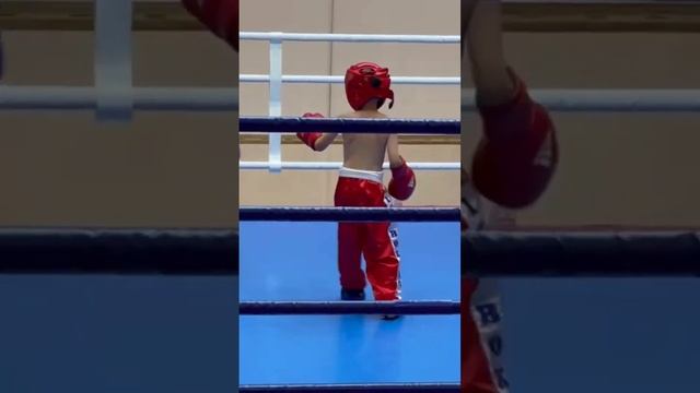 фулл-контакт кикбоксинг смотреть онлайн