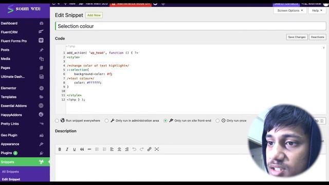 How to change text selection colour in WordPress using CSS смотреть онлайн