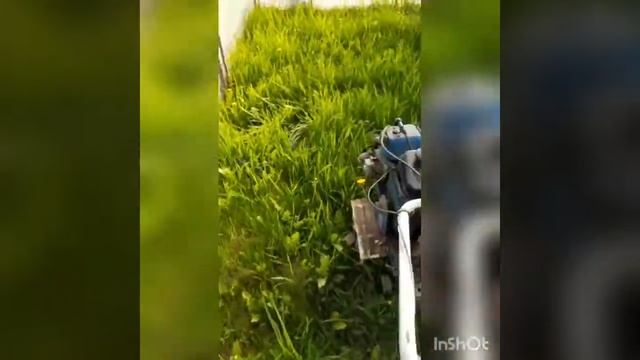 Мотокультиватор с двигателем Д 8 смотреть онлайн