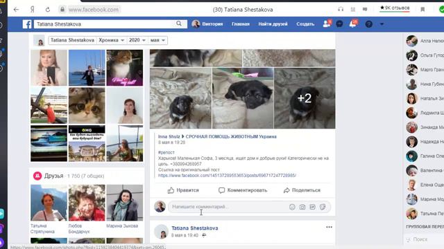 Почему блокируют страницу Фэйсбук! [Виктория Бренд] смотреть онлайн